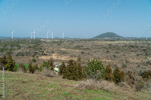 Obraz 제주도 자연 풍경