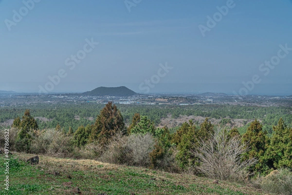 Obraz 제주도 오름 풍경