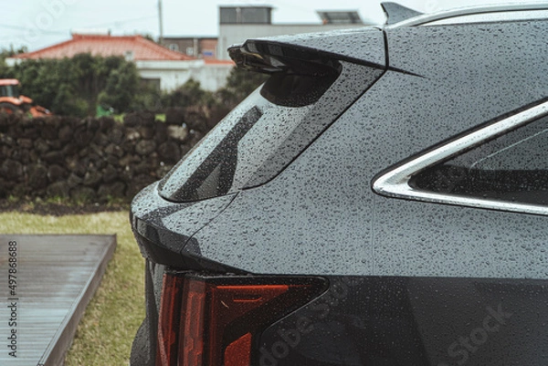 Obraz 여름 장마 기간의 비 오는 제주도 풍경