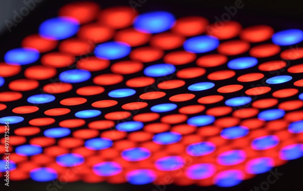 Obraz LED-Pflanzenlampe