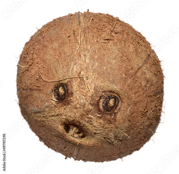 Obraz A coconut isolated on a white background