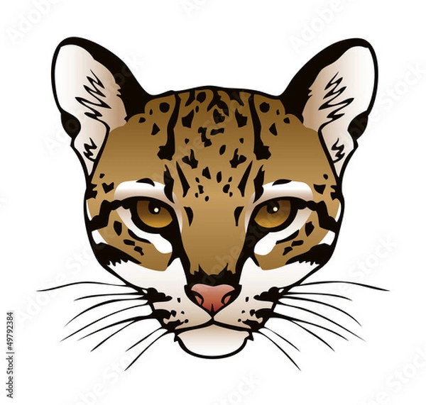Obraz Ocelot Illustration