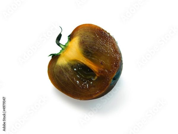 Obraz persimmon