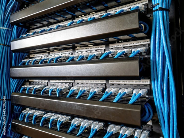 Fototapeta Connect data switches to patch panels using UTP patch cords.