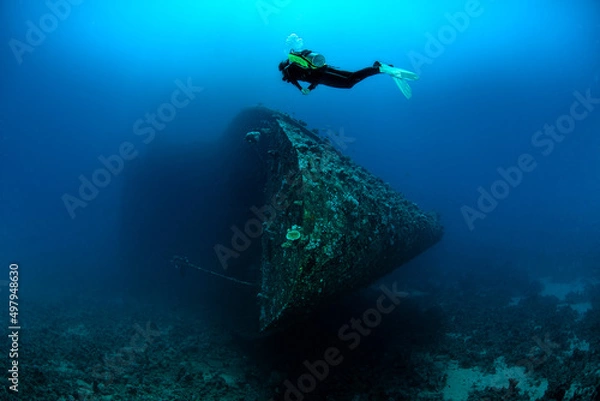 Obraz Diver swimming about the sink ship in a deep