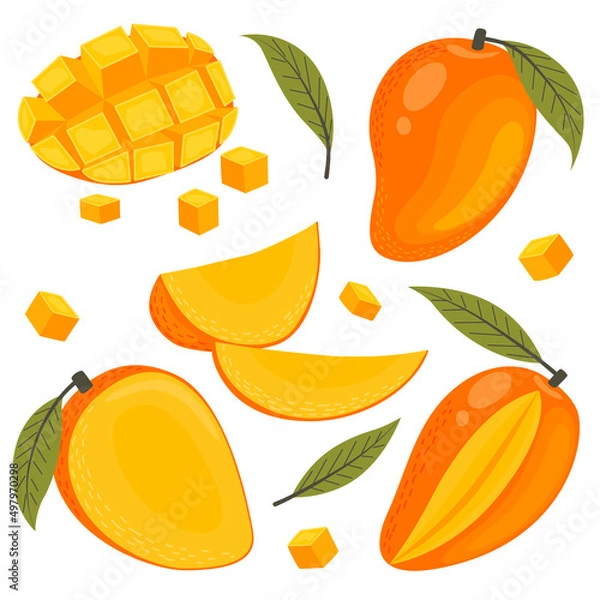 Fototapeta Mango set with whole fruits, half, slices and leaves. Vector illustration in a flat style on a white background.