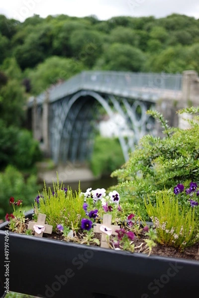Obraz flowers and bridge