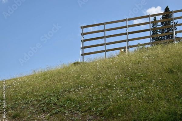 Obraz fence on the field