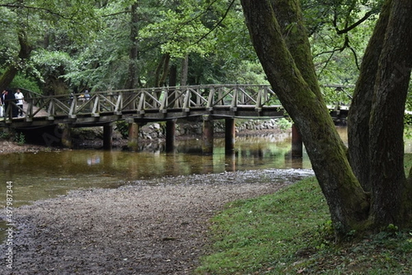 Obraz bridge over the river