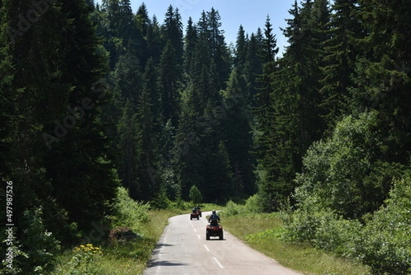 Obraz mountain bike trail