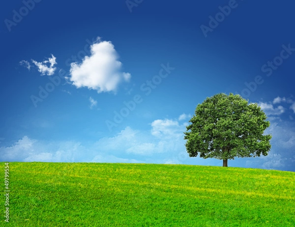 Obraz Zielony Beckground