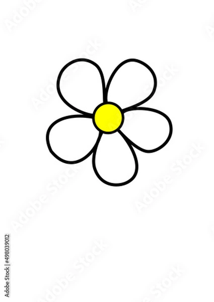 Fototapeta flower on white background