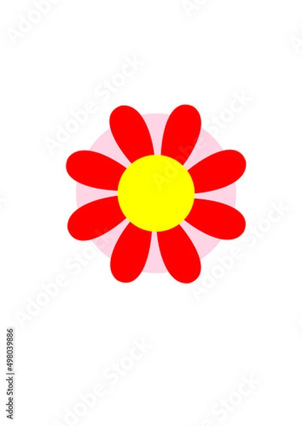 Fototapeta big blossom