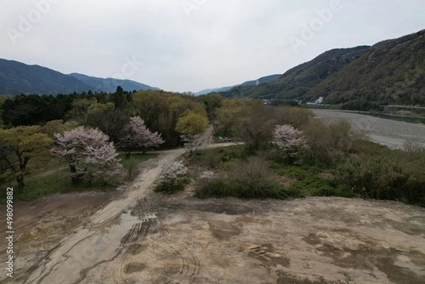 Fototapeta 春の訪れ空撮