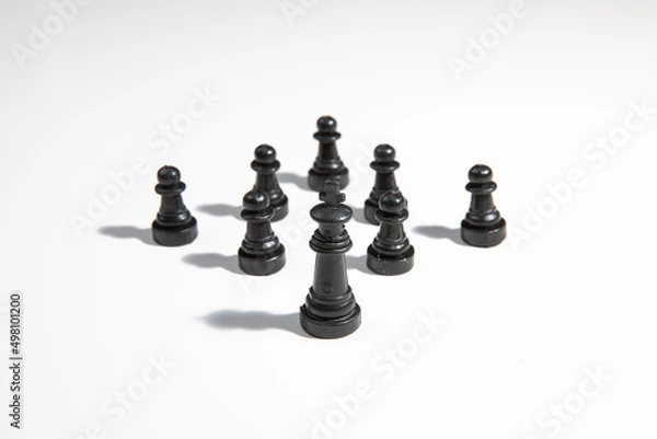 Fototapeta Black chess king with hard working team