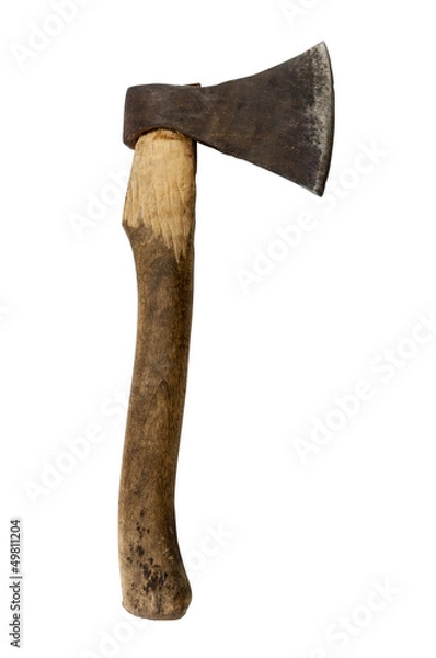 Obraz Old axe