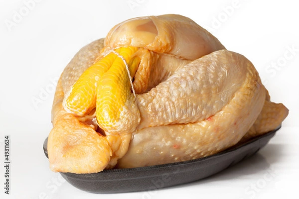 Fototapeta POULET JAUNE FERMIER