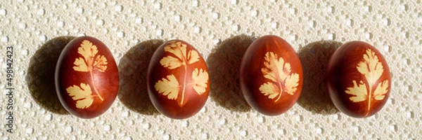 Obraz Panoramic photo. Top view of easter eggs, lying on lace tablecloth. Traditional and rustic arrangement. Easter concept.
