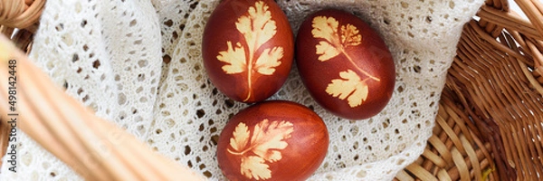 Obraz Panoramic photo. Top view of easter eggs, lying in wicker basket, on a lace doily. Painted brown, with a plant theme. Easter basket.
