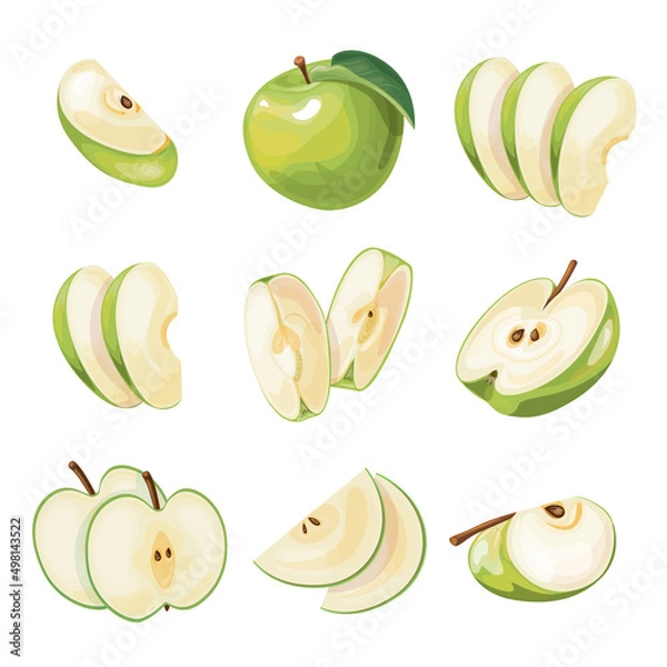 Obraz Bright vector set of colorful half, slice and segment of juicy green apple. Fresh cartoon apples on white background.