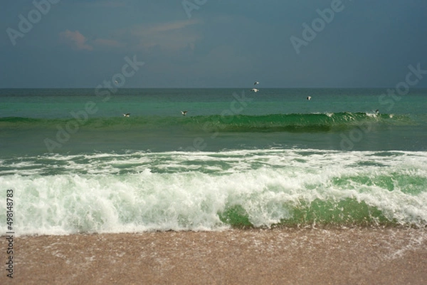 Fototapeta Crystal clear emerald green sea with gold sandy beach. Beach sea area. Natural beautiful landscape view of a tropical beach and green sea on a sunny weather.
