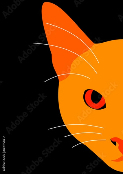 Obraz Illustration of the face of an orange cat on black background.