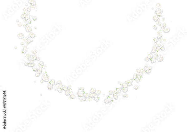 Fototapeta カスミソウフレーム（白）