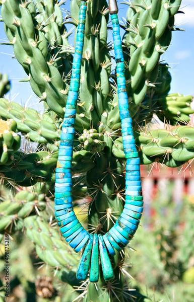 Obraz turquoise neck hung from catus