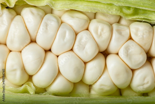 Fototapeta Delicious white fresh corn as background, close up, macro shooting
