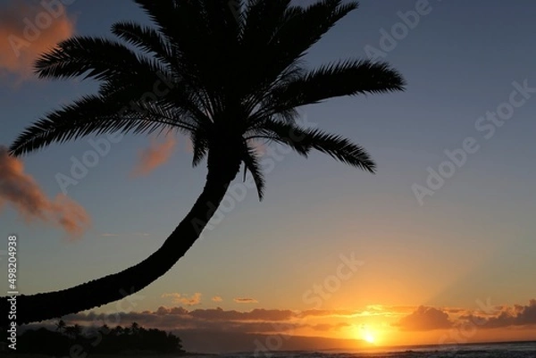 Fototapeta sunset on the beach