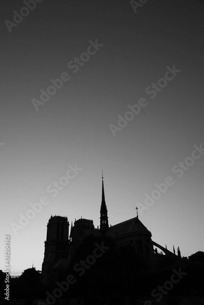 Fototapeta notre dame cathedral