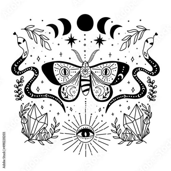 Fototapeta Composition of mystic moth. Decorated with magic elements.