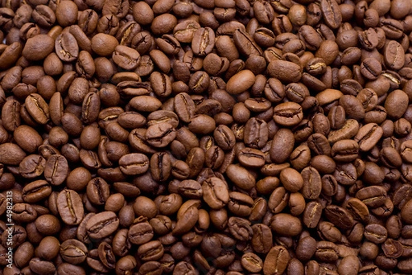 Obraz coffee beans in macro