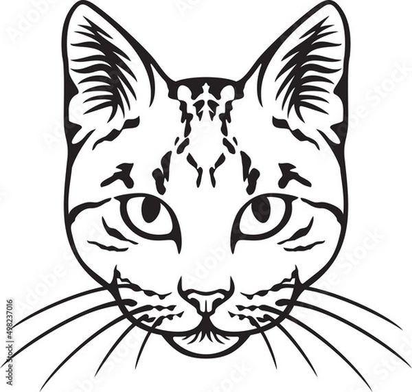 Obraz Cat face black and white. Vector illustration.