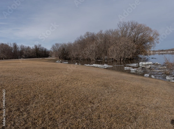 Fototapeta Submerged trees in the flooded Red River in Selkirk, Manitoba
