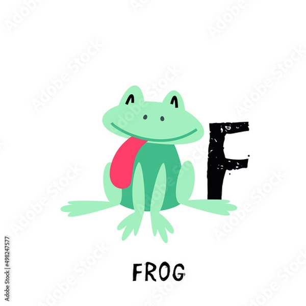 Fototapeta Vector frog isolated on white background. Alphabet for kids