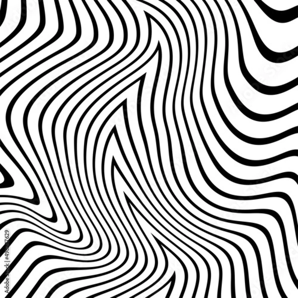 Fototapeta Abstract Black and White Geometric Pattern with Waves. Striped Structural Texture. Raster Illustration.Black and white stripes made in illustrator and rasterized.Stripes pattern for backgrounds.