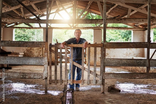 Fototapeta This farm is my pride and joy. Full length portrait of a mature farmer standing in the barn on his farm.