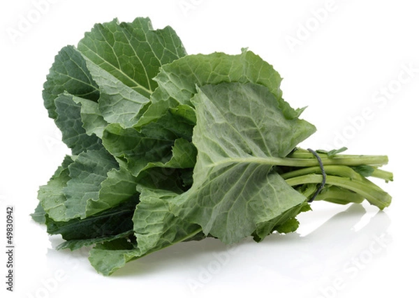 Obraz Fresh Collard Greens