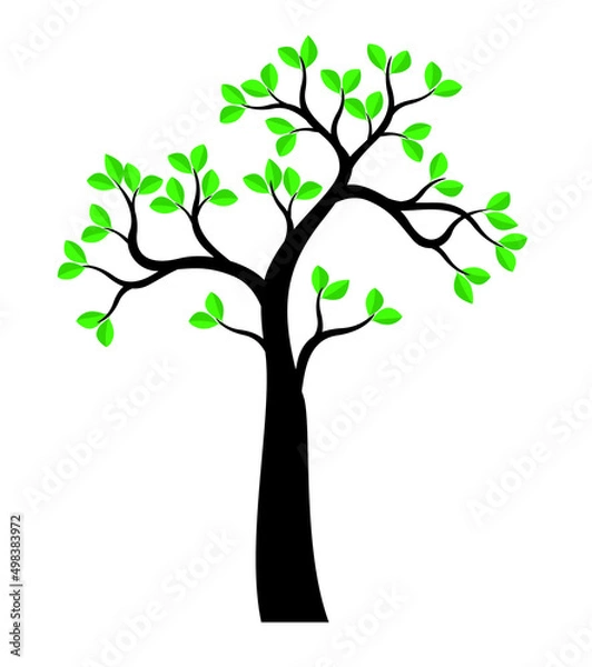 Fototapeta Green Tree. Vector outline Illustration.