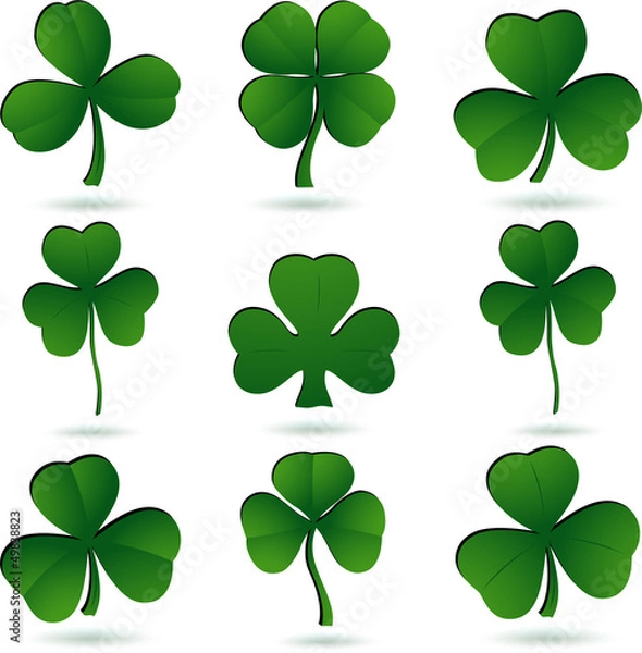 Obraz Shamrock set on white.