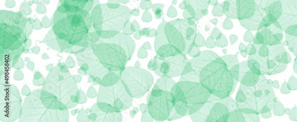 Obraz Transparent falling green leaves background against a plain white background