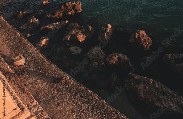 Obraz ducks at sunset in town