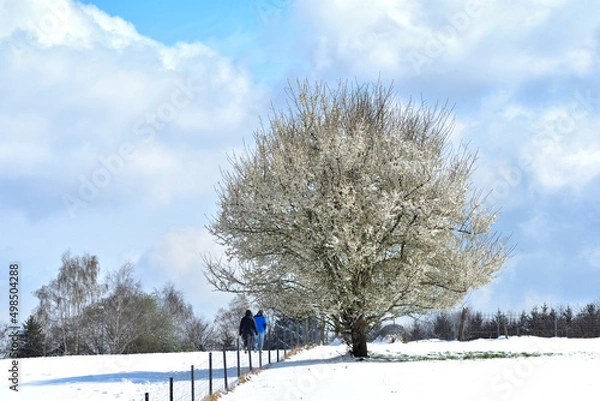 Fototapeta Winterlandschaft 2