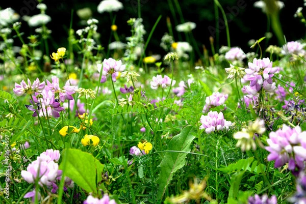 Fototapeta Frühling