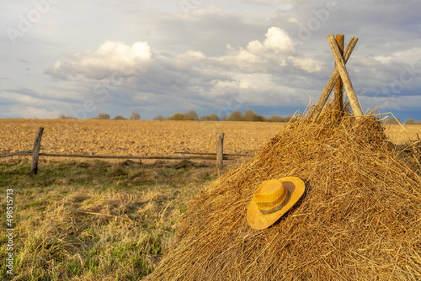 Obraz straw hat in countryside with selective focus