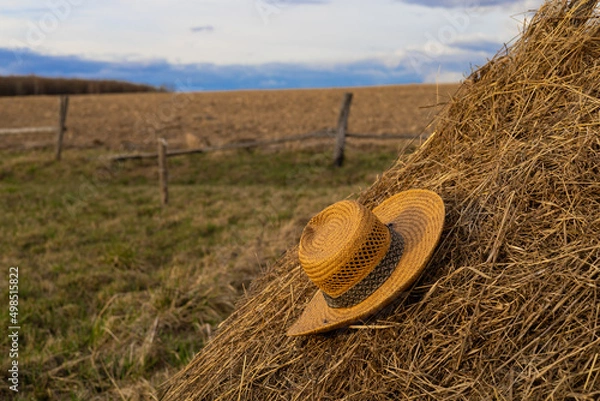 Obraz straw hat in countryside with selective focus