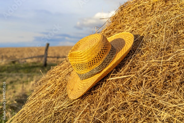 Obraz straw hat in countryside with selective focus