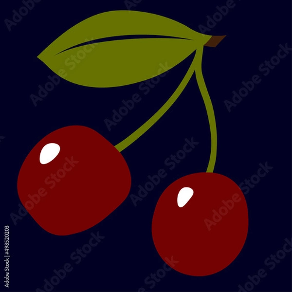 Obraz Two ripe cherries on a branch with a green leaf