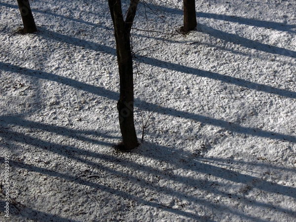 Obraz autumn in the park
